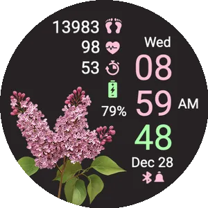 Lilac Blossoms