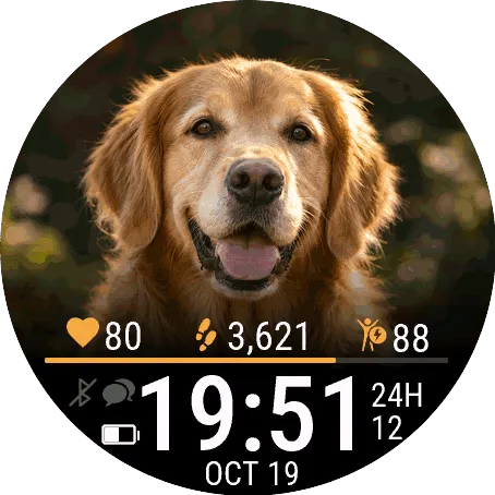 My Pet · Pawtrait