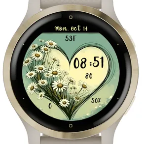 Daisies Heart · 截图 2