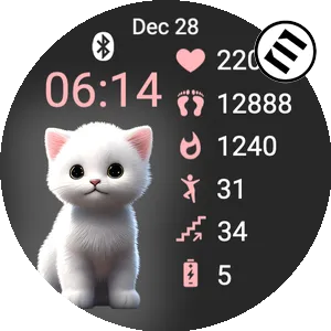 Cute Animal Cat