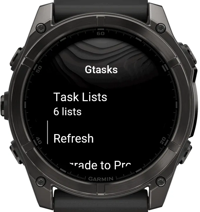Google Tasks for Garmin · 截图 3