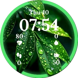 Lush Foliage
