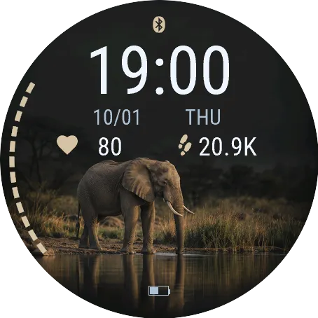 Waterhole Elephant
