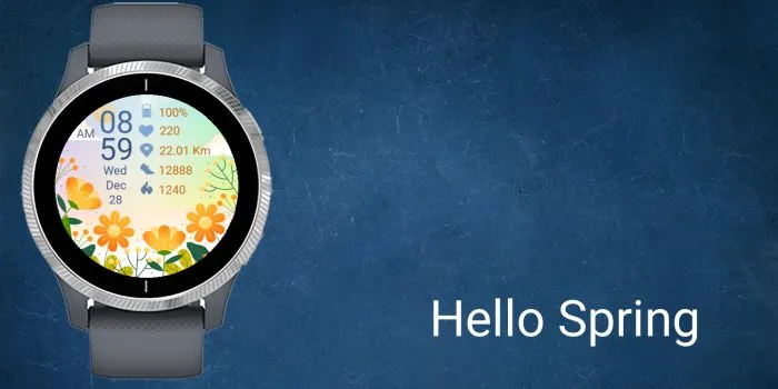Hello Spring · Screenshot 0