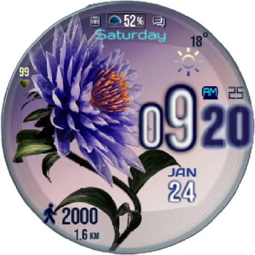 FLOWER_Elegance_T92 · Captura de tela 3