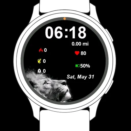 Lion Black