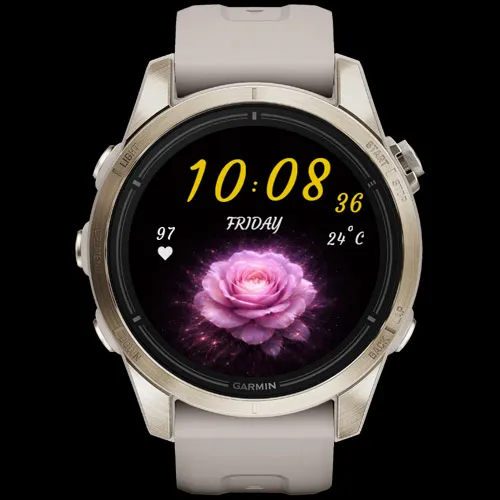 Velvet Rose (Your Data. Your Style) · 截图 2