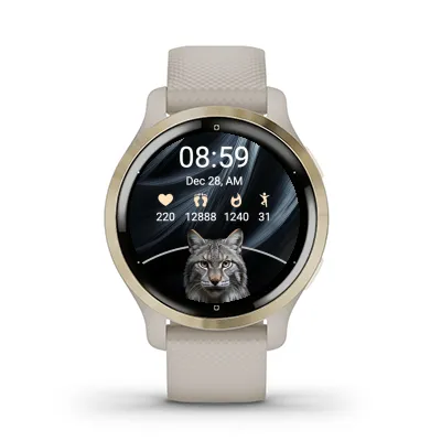 Bob Cat · 截图 3