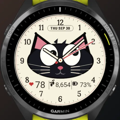 Curious Cat - Moving Eyes