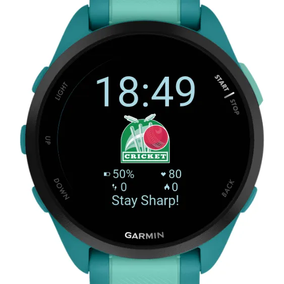 Cricket Watch Face- Customizable Sports Stats · Capture d'écran 2