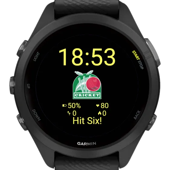 Cricket Watch Face- Customizable Sports Stats · Capture d'écran 3