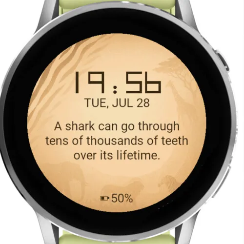 Animal Fun Facts