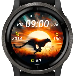 Desert Hunter · Snímek obrazovky 2