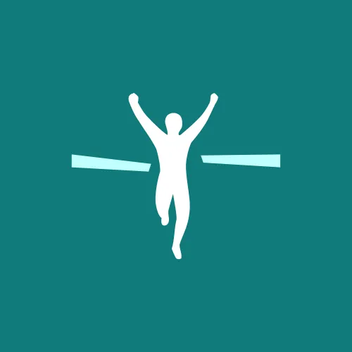 Visletic Data Field