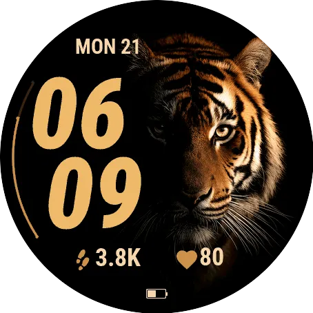 Nocturnal Tiger