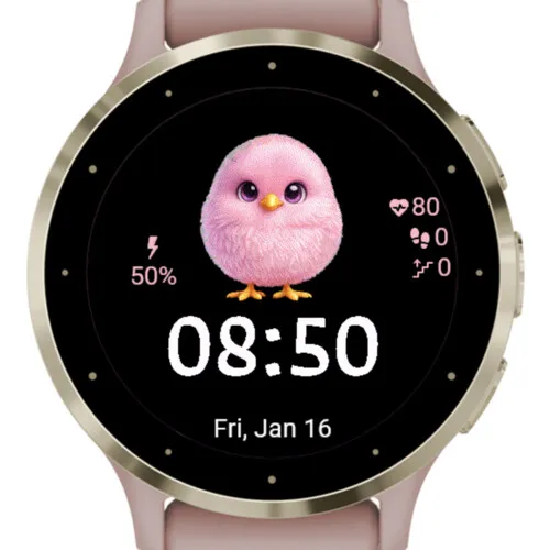 Cute Pink Chick