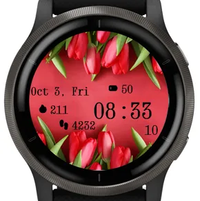 Red Tulips · 截图 2