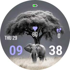Safari Icon