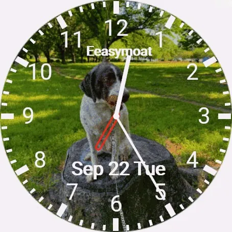The Face — Design Your Watch Face on the Web · Képernyőkép 2