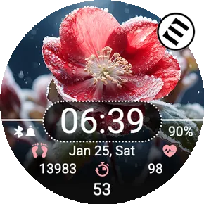 Winter Flower
