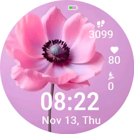 Pink Anemone