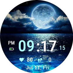 Moonlit Sea