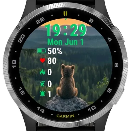 Brown Bear Sitting Top · Snímka obrazovky 1
