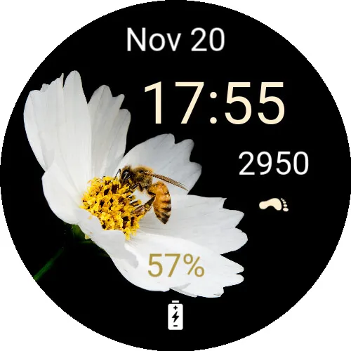 Simple flower 5