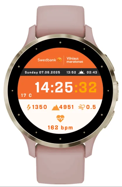 Swedbank Vilnius Marathon · Screenshot 1