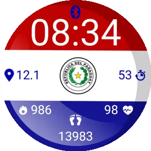 Team Paraguay Supporter