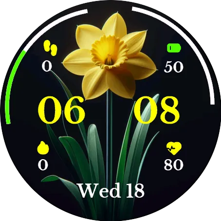 Yellow Daffodil