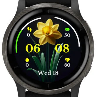 Yellow Daffodil · 螢幕截圖 2