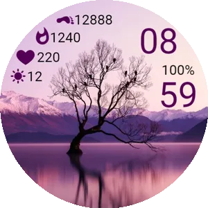 Winter In A Purple Shade