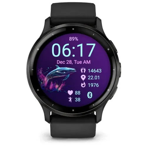 Dolphin 06 · 截图 2