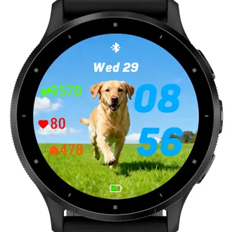 Happy Labrador · Snímka obrazovky 2