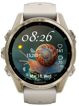 A Snail
