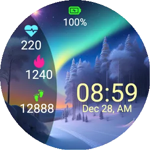 Aurora Winter