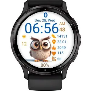 Bird - Owl 02