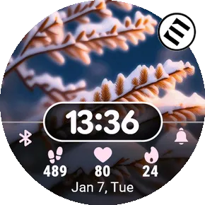 Winter Days
