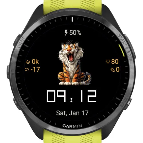 Funny Tiger · Kuvakaappaus 1