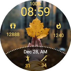 Fall T1