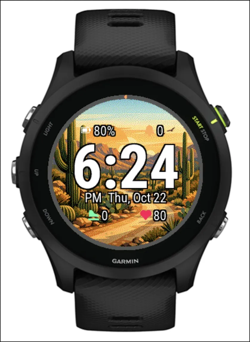 Cactus Forest Loop | Saguaro · Snímek obrazovky 3