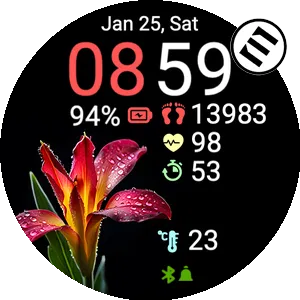 Night Flower