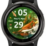 Koi Swim · Скриншот 3