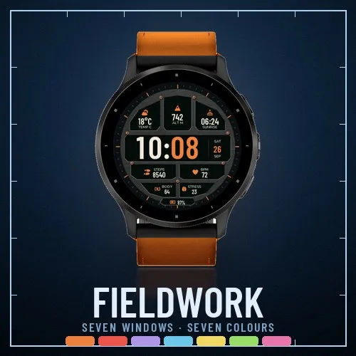Fieldwork