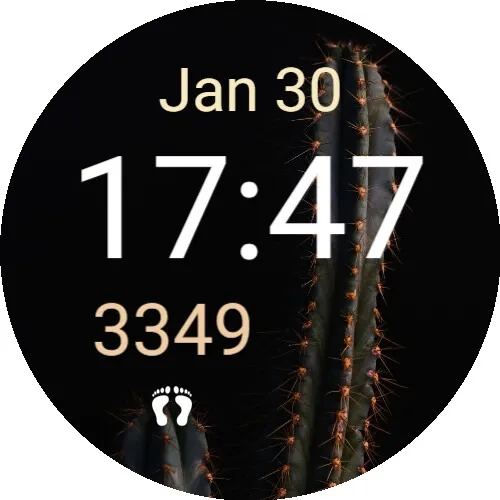 Desert walk