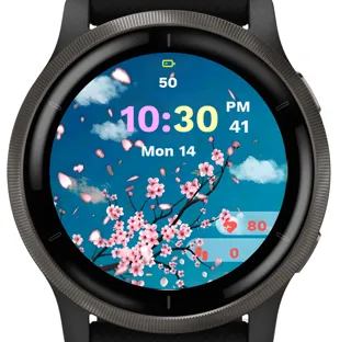 Spring Watch · Kuvakaappaus 2
