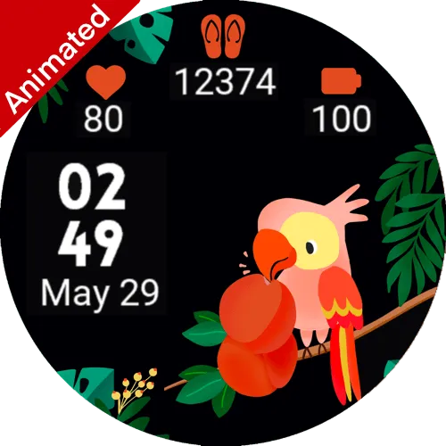 Summer Bird Animated