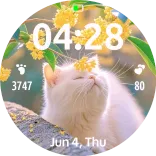 Cat smells of flowers