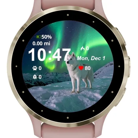 Polar Bear Snow Aurora